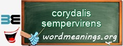 WordMeaning blackboard for corydalis sempervirens